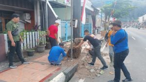 Ancam Keselamatan, Dinas LH Kota Banjar Tebang Pohon di Bahu Jalan