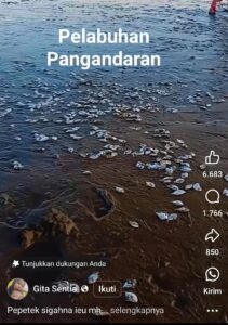 Ada Apa Ribuan Ikan Terdampar di Pantai Selatan Jawa Barat ?