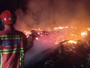 Kandang Ludes Terbakar di Ciamis, Ribuan Ayam Mati Terpanggang