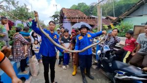Dua Warga Banjar Luka Terkena Bisa Ular King Kobra 3,5 Meter dari dalam Warung