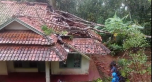 Pohon Tumbang Timpa Rumah di Ciamis, Satu orang Luka