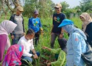 Komunitas Lansia dan Jabar Bergerak Tanam 200 Pohon di Sport Center Kota Banjar