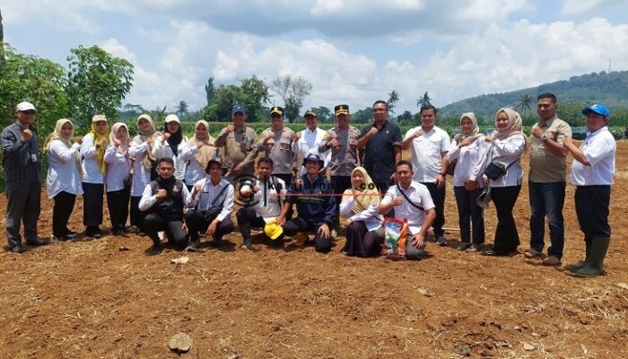Polres Banjar Garap 40 Hektare Lahan Jagung untuk Ketahanan Pangan