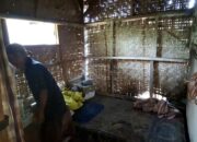 11 Jiwa Hidup di Rumah Semi Permanen Tidak Layak Huni di Kota Banjar