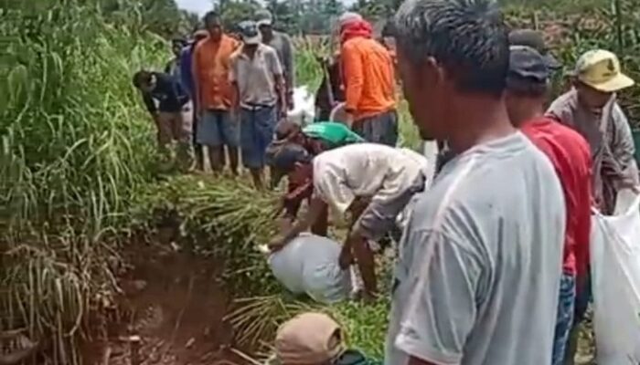 Tanggul Sungai Citanduy di Kalipucang Nyaris Jebol, 126 KK Terancam