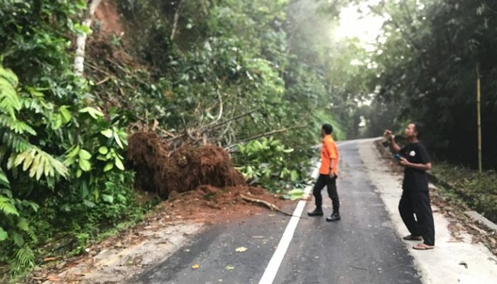 Akses Banjar–Ciamis Terganggu Akibat Longsor