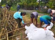 Kritis! Tanggul Citanduy di Rawaapu Nyaris Jebol, Warga Bangun Tanggul Sementara