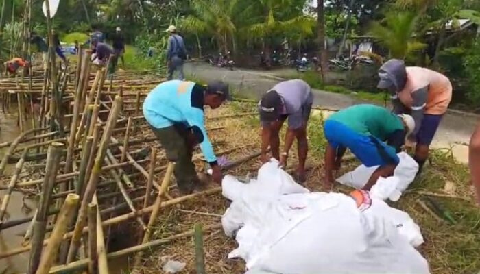 Kritis! Tanggul Citanduy di Rawaapu Nyaris Jebol, Warga Bangun Tanggul Sementara