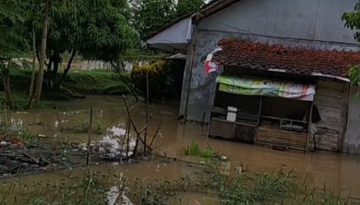Rumah dan Puluhan Hektare Sawah di Banjar Terendam Banjir