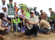 Bupati Bogor Instruksikan Satu Hektar Hutan Kota di Setiap Kecamatan