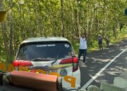 Minibus Sigra Milik Anggota Polisi Pangandaran Hantam Pohon Jati di Ciamis