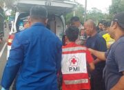 Adu Bagong di Jalur Banjar–Cimaragas, Pemotor Tewas di Tempat