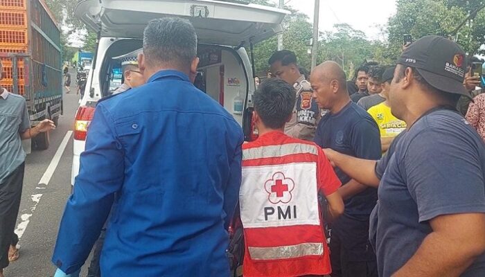 Adu Bagong di Jalur Banjar–Cimaragas, Pemotor Tewas di Tempat
