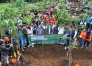 Pemkab Bogor Tanam Pohon di Hulu Ciliwung, Begini Alasannya