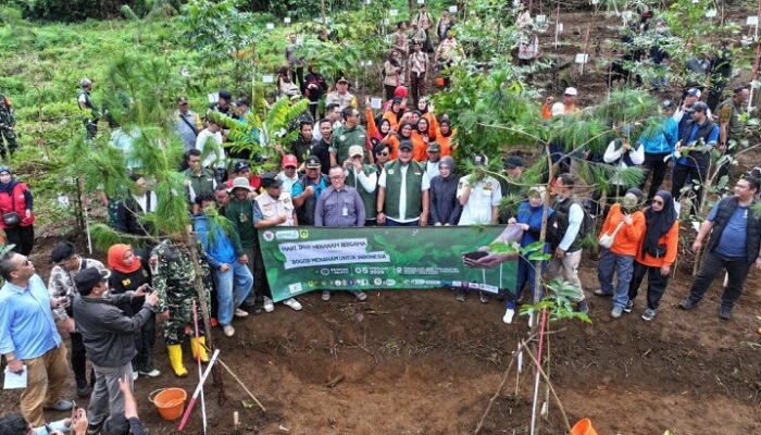 Pemkab Bogor Tanam Pohon di Hulu Ciliwung, Begini Alasannya