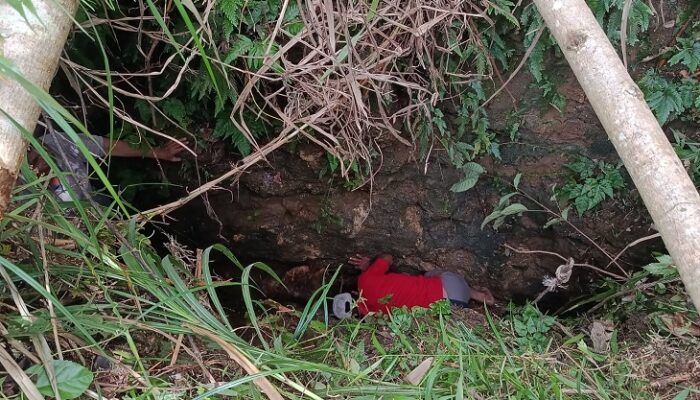 Dua Ekor Sapi Terperosok Goa, Tabungan Kuliah Warga Pangandaran Pupus Seketika