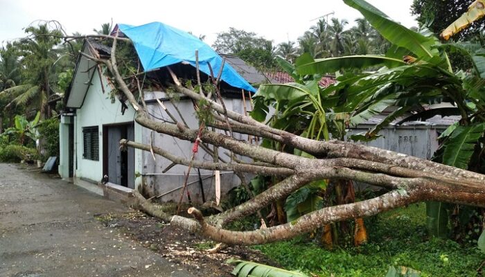 Hujan dan Angin Kencang Rusak Belasan Rumah di Pangandaran