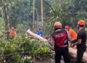 Cuaca Ekstrem Landa Kota Banjar, BPBD Lakukan Ini