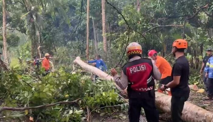 Cuaca Ekstrem Landa Kota Banjar, BPBD Lakukan Ini