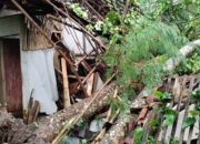 Hujan Angin di Pamarican Ciamis, Pohon Tumbang Timpa Belasan Rumah dan Tutup Jalan Utama
