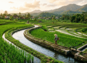 Waspadai Fenomena Godzilla El Nino, BBWS Citanduy Optimalkan Sistem Irigasi