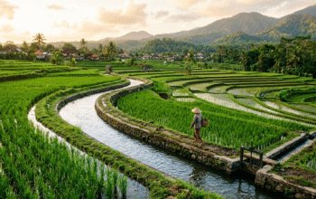 Waspadai Fenomena Godzilla El Nino, BBWS Citanduy Optimalkan Sistem Irigasi