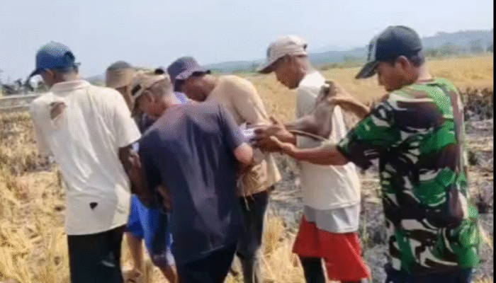 Warga Geger Temukan Petani Tewas di Area Sawah