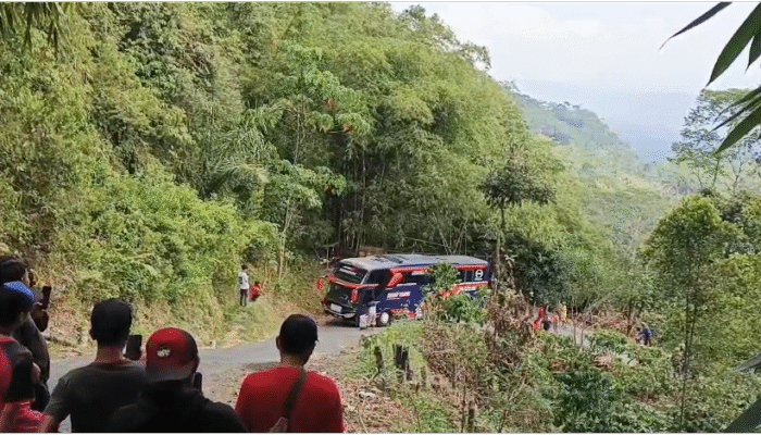 Kok Bisa ?! Gegara Sopir Lupa Jalan, Bus Pariwisata Nyasar Ke Kawasan Pegunungan di Ciamis