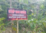 Antisipasi Karhutla, Warga Padaherang Inisiatif Pasang Baliho Imbauan