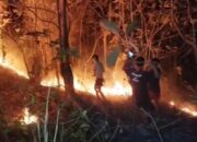 5 Hektar Lahan Gunung Terbakar Hebat, Warga Panik Api meluas