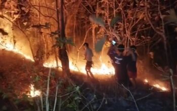 5 Hektar Lahan Gunung Terbakar Hebat, Warga Panik Api meluas