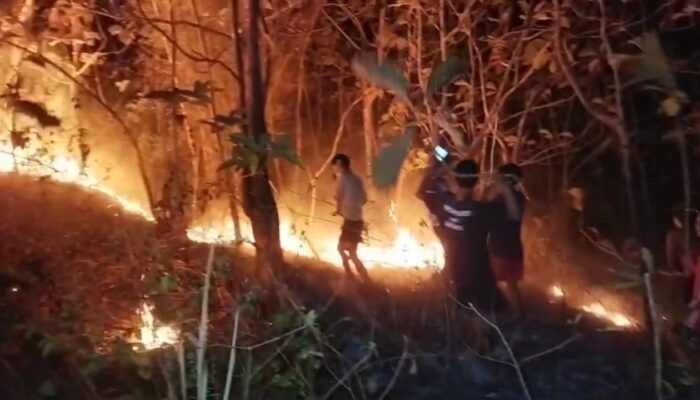 5 Hektar Lahan Gunung Terbakar Hebat, Warga Panik Api meluas